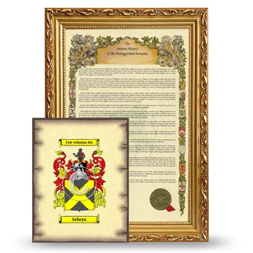 Selwyn Framed History and Coat of Arms Print - Gold