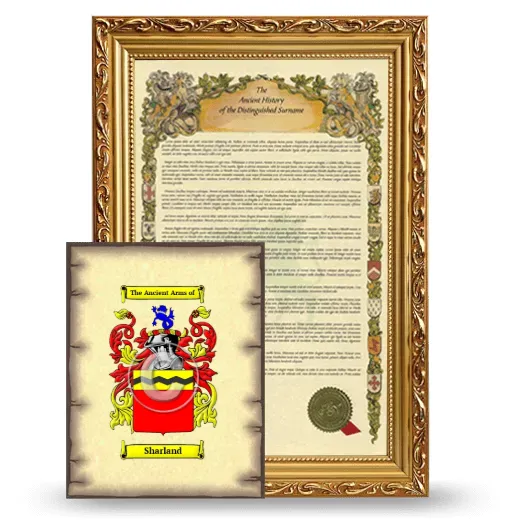 Sharland Framed History and Coat of Arms Print - Gold