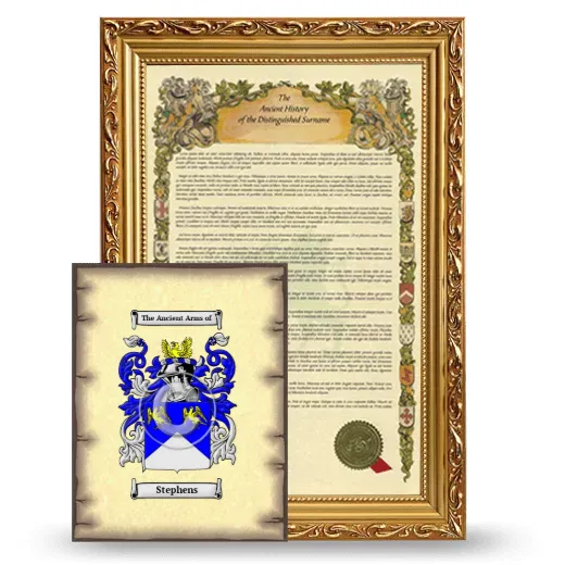 Stephens Framed History and Coat of Arms Print - Gold