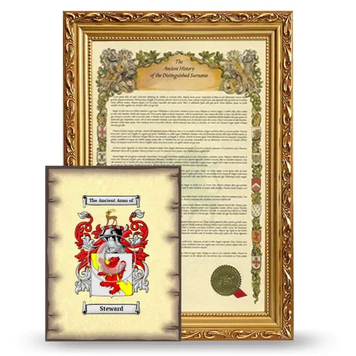 Steward Framed History and Coat of Arms Print - Gold