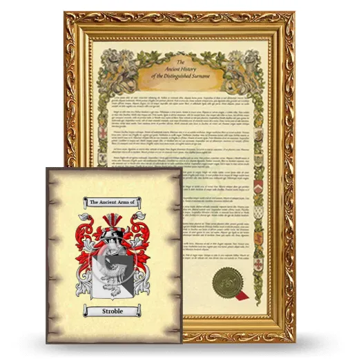 Stroble Framed History and Coat of Arms Print - Gold
