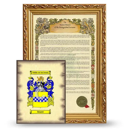 Stuert Framed History and Coat of Arms Print - Gold