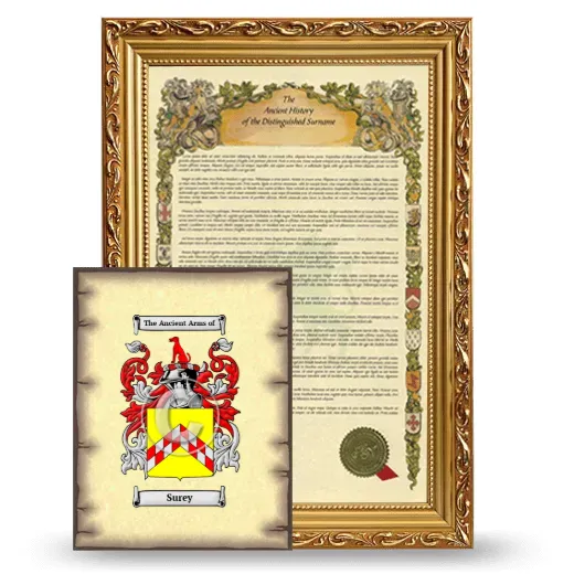 Surey Framed History and Coat of Arms Print - Gold