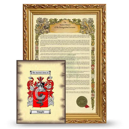 Timple Framed History and Coat of Arms Print - Gold