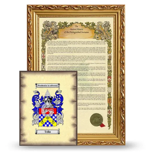 Tolia Framed History and Coat of Arms Print - Gold