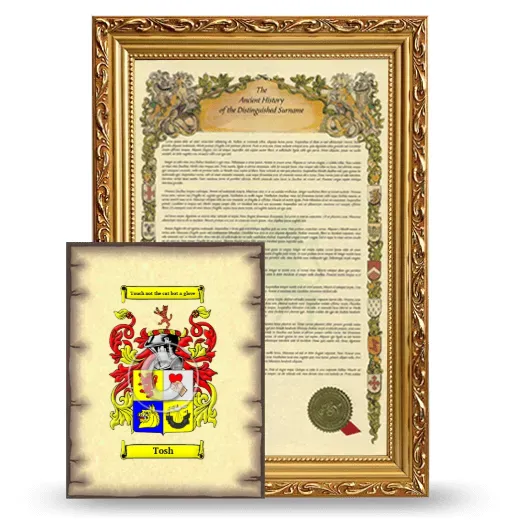Tosh Framed History and Coat of Arms Print - Gold
