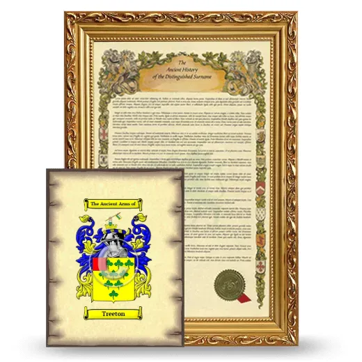 Treeton Framed History and Coat of Arms Print - Gold