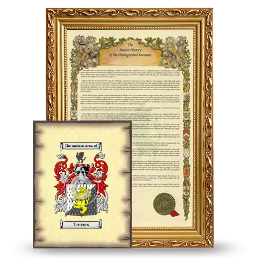 Trevors Framed History and Coat of Arms Print - Gold