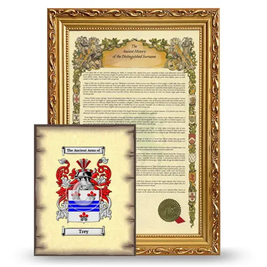 Trey Framed History and Coat of Arms Print - Gold