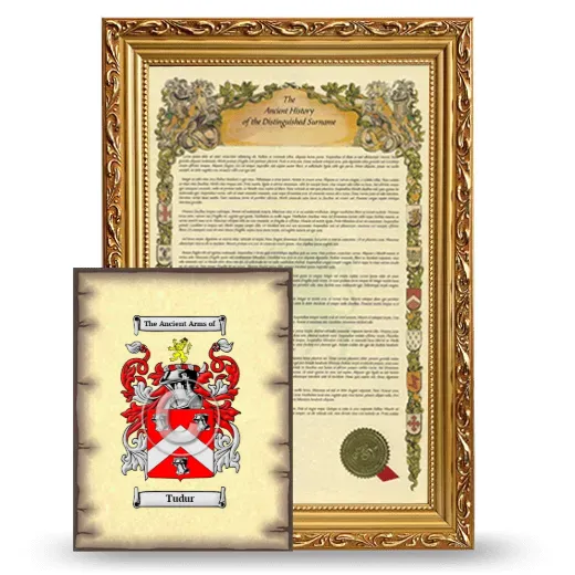 Tudur Framed History and Coat of Arms Print - Gold