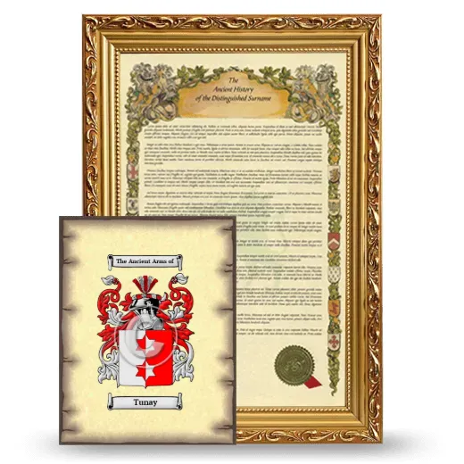 Tunay Framed History and Coat of Arms Print - Gold