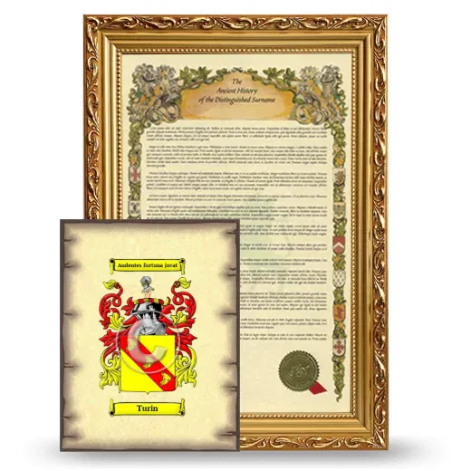 Turin Framed History and Coat of Arms Print - Gold