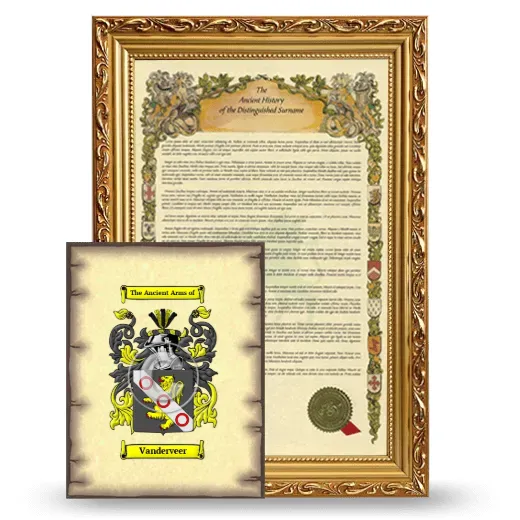 Vanderveer Framed History and Coat of Arms Print - Gold