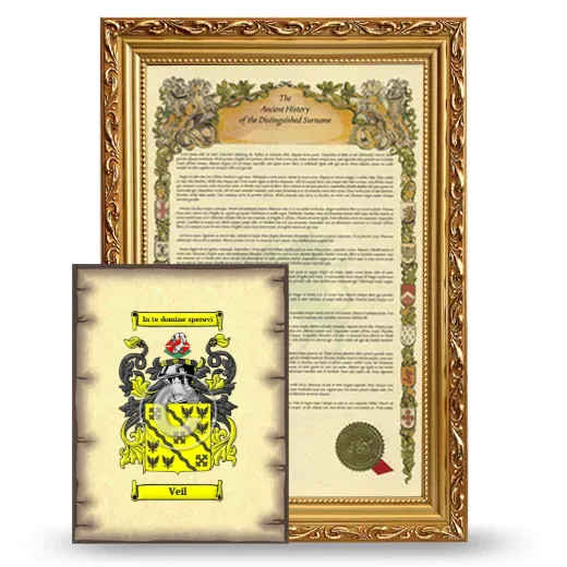 Veil Framed History and Coat of Arms Print - Gold