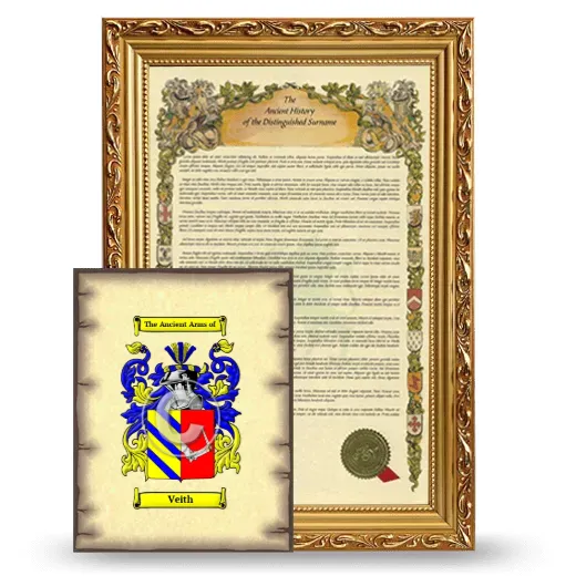 Veith Framed History and Coat of Arms Print - Gold