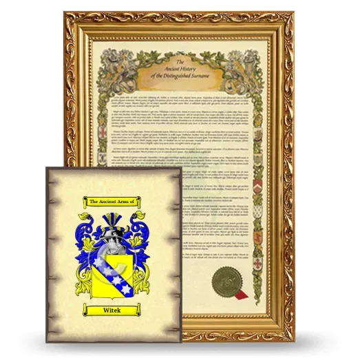 Witek Framed History and Coat of Arms Print - Gold