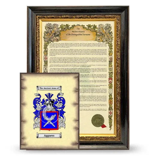Aggness Framed History and Coat of Arms Print - Heirloom