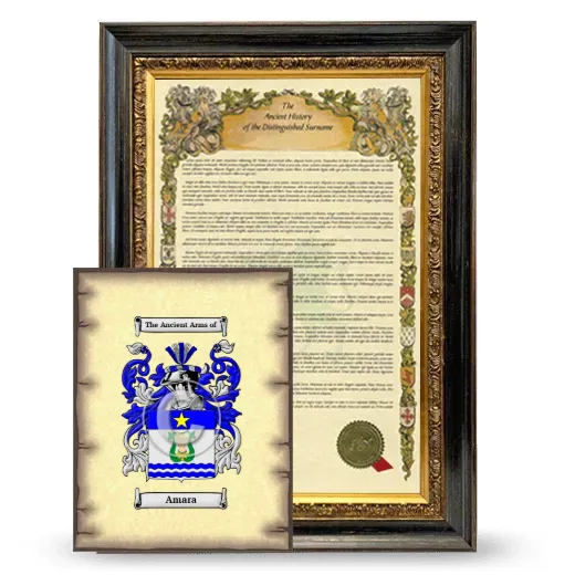 Amara Framed History and Coat of Arms Print - Heirloom