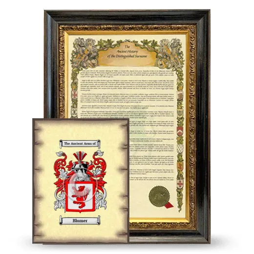 Blumer Framed History and Coat of Arms Print - Heirloom