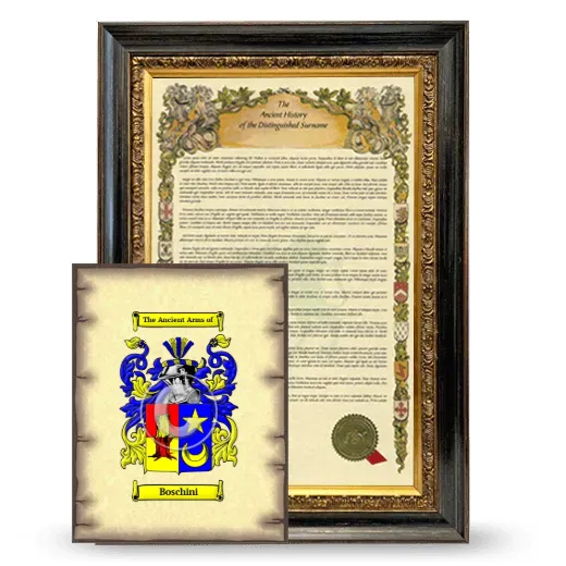 Boschini Framed History and Coat of Arms Print - Heirloom