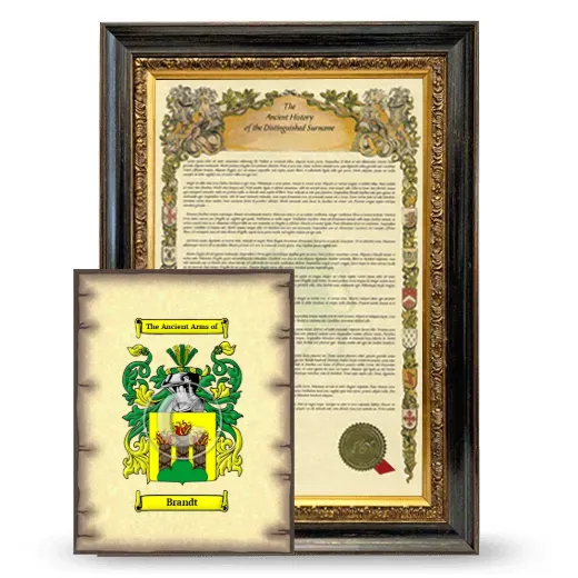 Brandt Framed History and Coat of Arms Print - Heirloom