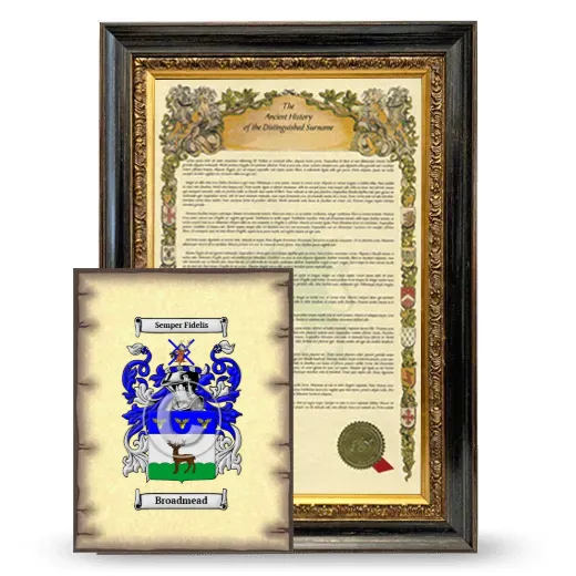 Broadmead Framed History and Coat of Arms Print - Heirloom