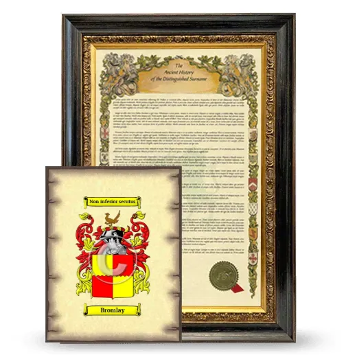 Bromlay Framed History and Coat of Arms Print - Heirloom