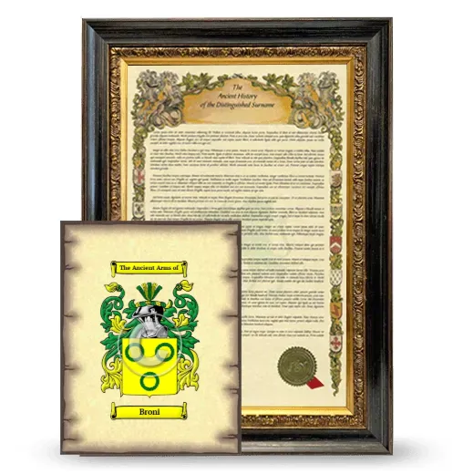 Broni Framed History and Coat of Arms Print - Heirloom