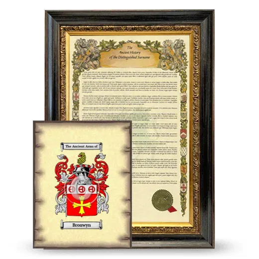 Bronwyn Framed History and Coat of Arms Print - Heirloom