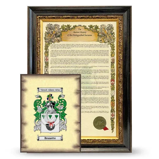 Brunette Framed History and Coat of Arms Print - Heirloom