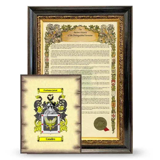 Candro Framed History and Coat of Arms Print - Heirloom