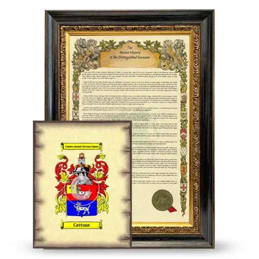 Cattone Framed History and Coat of Arms Print - Heirloom