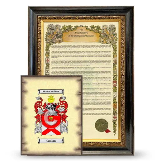 Caulan Framed History and Coat of Arms Print - Heirloom