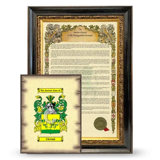 Cicconi Framed History and Coat of Arms Print - Heirloom
