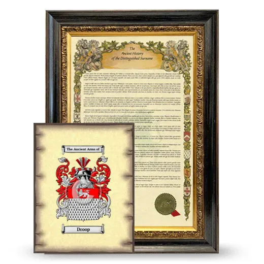 Droop Framed History and Coat of Arms Print - Heirloom