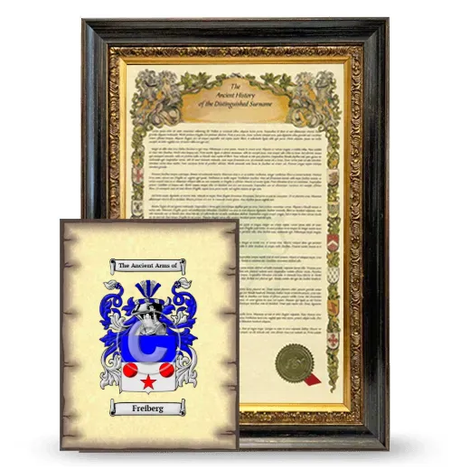 Freiberg Framed History and Coat of Arms Print - Heirloom