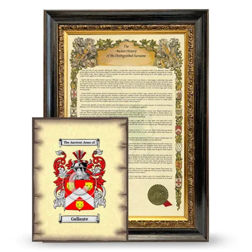 Gallante Framed History and Coat of Arms Print - Heirloom