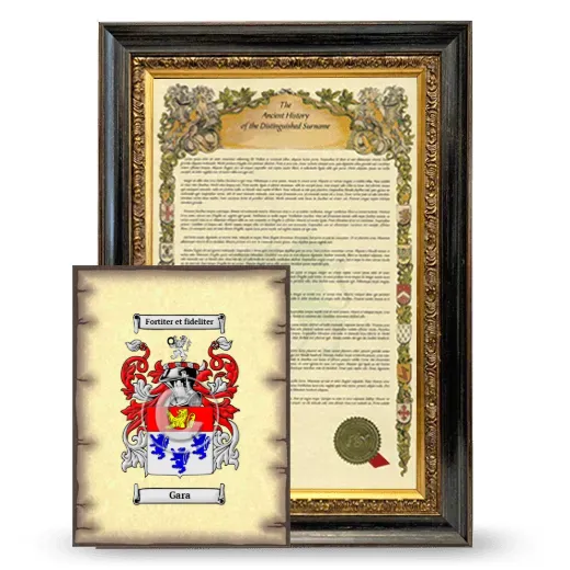 Gara Framed History and Coat of Arms Print - Heirloom