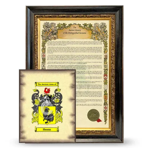 Haann Framed History and Coat of Arms Print - Heirloom