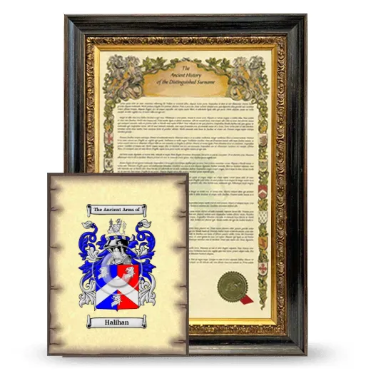 Halihan Framed History and Coat of Arms Print - Heirloom