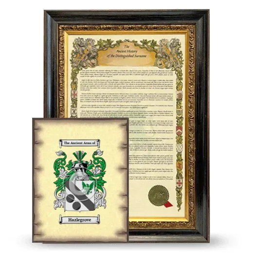 Hazlegrove Framed History and Coat of Arms Print - Heirloom