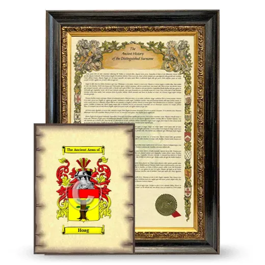 Hoag Framed History and Coat of Arms Print - Heirloom