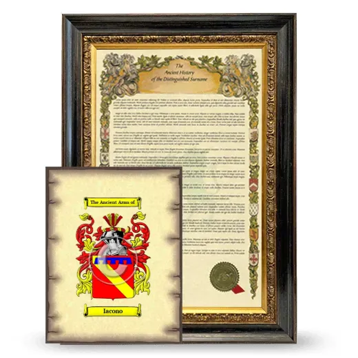 Iacono Framed History and Coat of Arms Print - Heirloom
