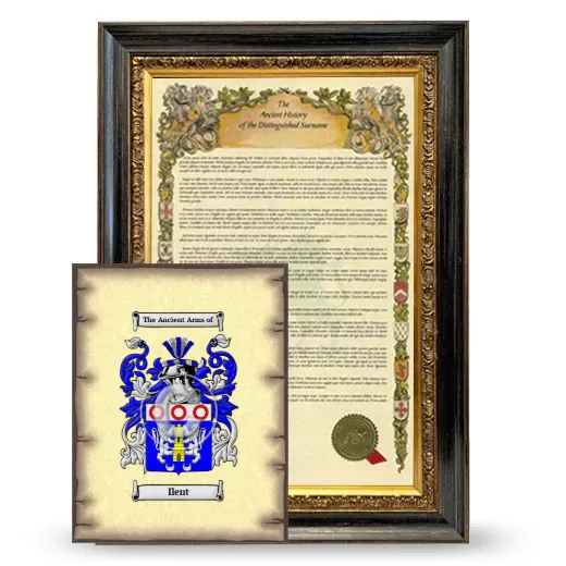 Ilent Framed History and Coat of Arms Print - Heirloom