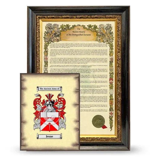 Jeune Framed History and Coat of Arms Print - Heirloom