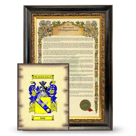 Levy Framed History and Coat of Arms Print - Heirloom