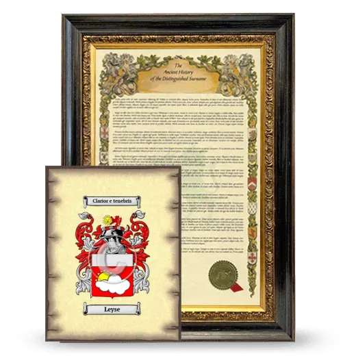 Leyse Framed History and Coat of Arms Print - Heirloom