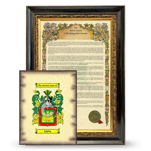 Leyva Framed History and Coat of Arms Print - Heirloom