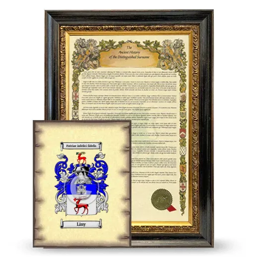 Liny Framed History and Coat of Arms Print - Heirloom