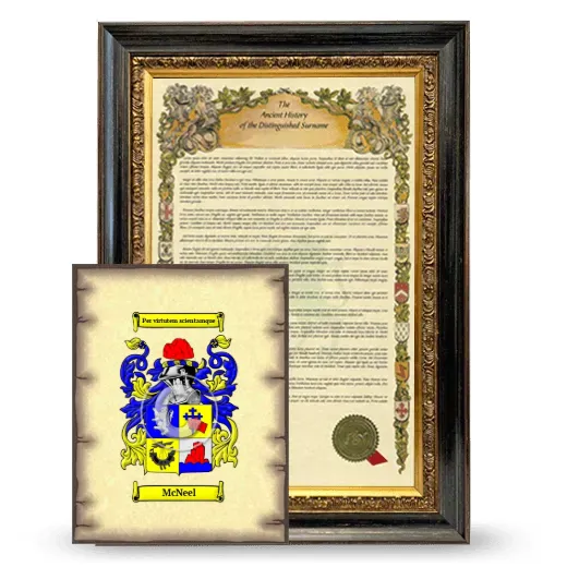 McNeel Framed History and Coat of Arms Print - Heirloom